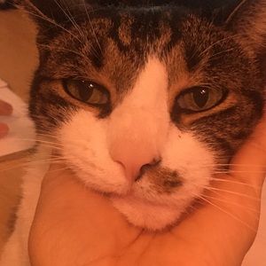 Meet your Posher, Nina